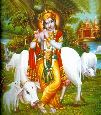 Krishna Homa